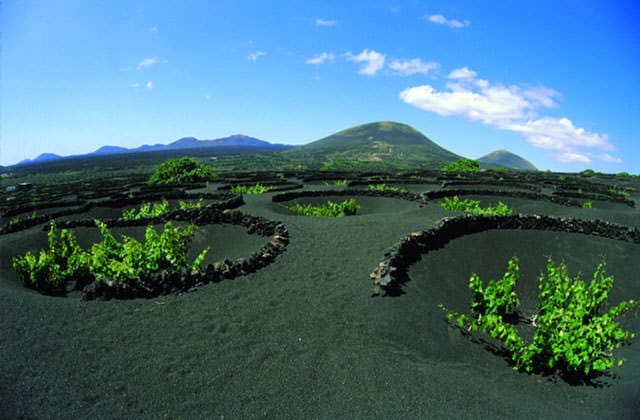 Lanzarote coupons
